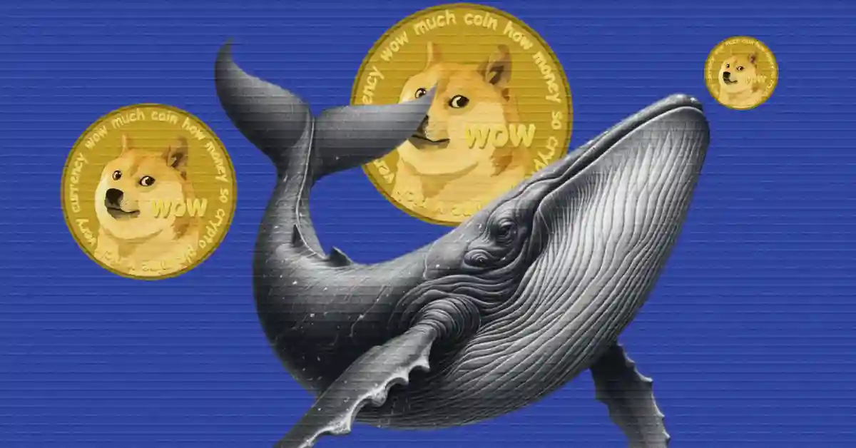 Dogecoin Price Spike Could Trigger Big Gains as Whales Accumulate