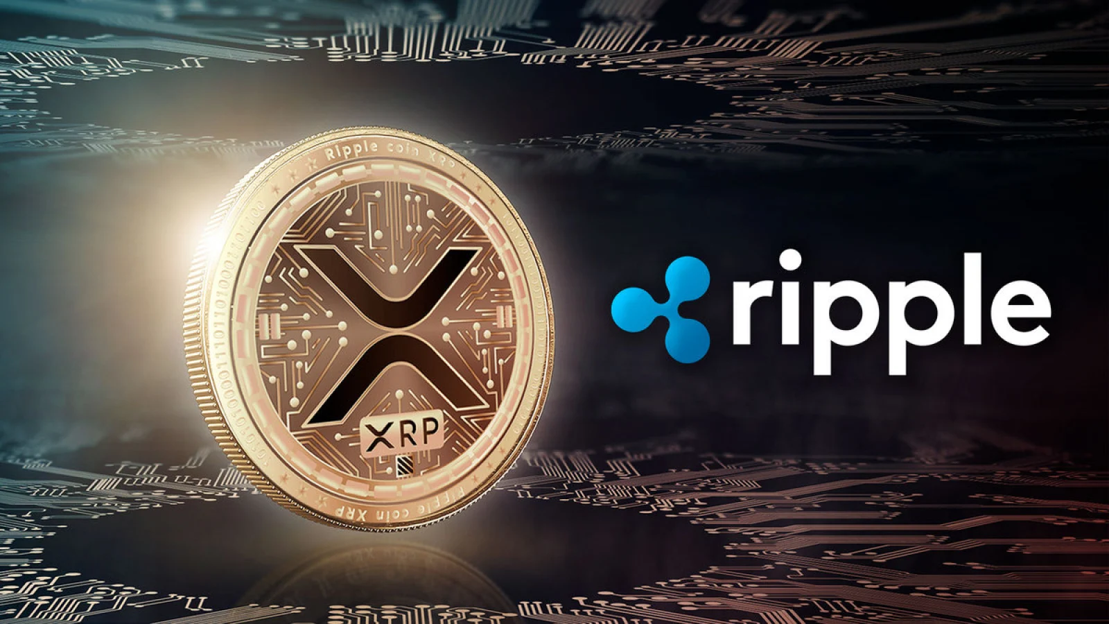 Ripple XRP Transfer Triggers Market Drop Amid $54.5M Move