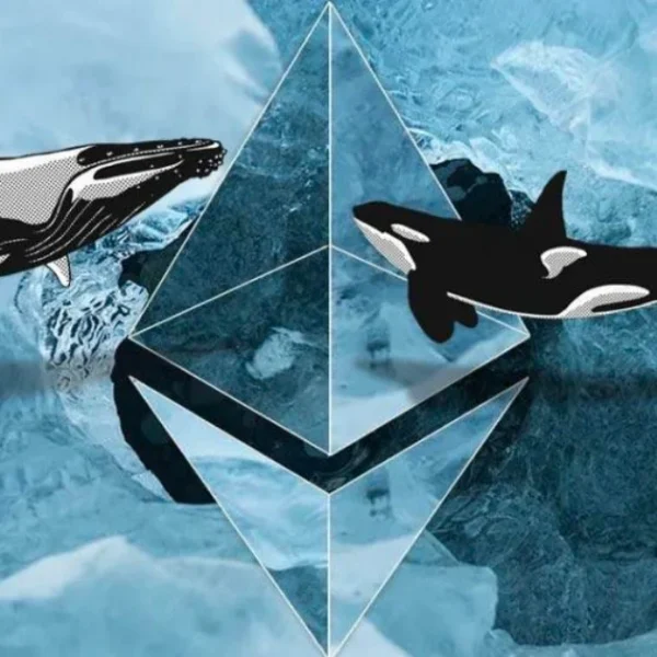 Ethereum Whales Divided as $52B DeFi TVL Signals Growth