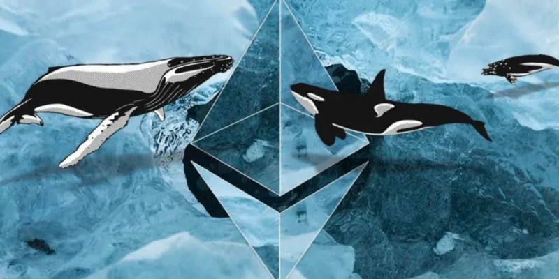 Ethereum Whales Divided as $52B DeFi TVL Signals Growth