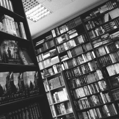 Books illustrating the Perplexity AI search engine review